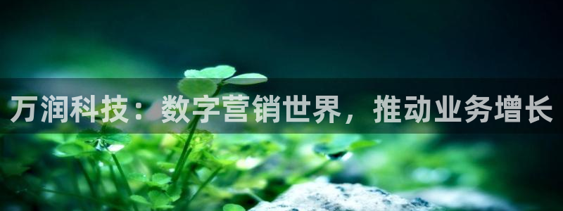 金年会平台真他妈坑人