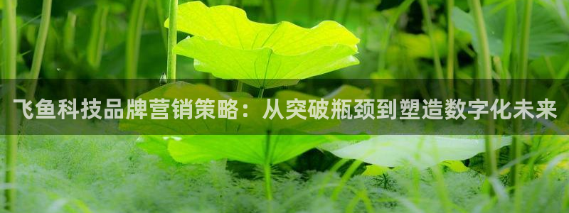 金年会体育官网是多少