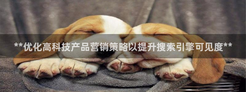 金年会app下载官网登录