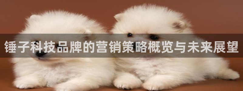 金年会官方网站入口登录网址是多少