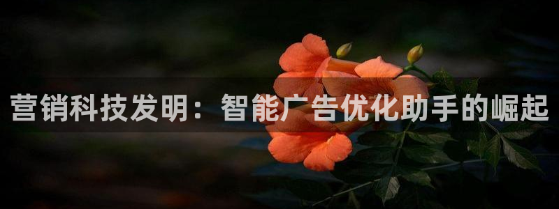 金年会网页版在线登录官网