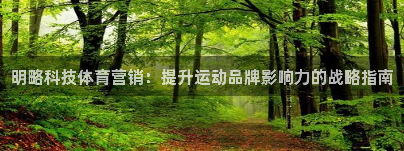 金年会官方入口APP
