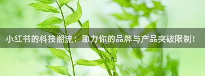 金年会是什么平台会不会提不了现