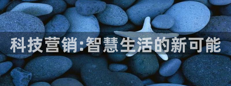 金年会体育手机app下载官网
