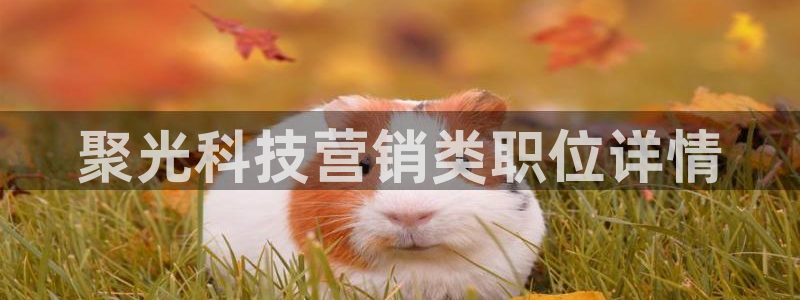金年会网址导航在线播放