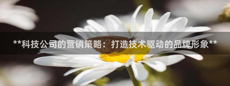 金年会ios版下载安装