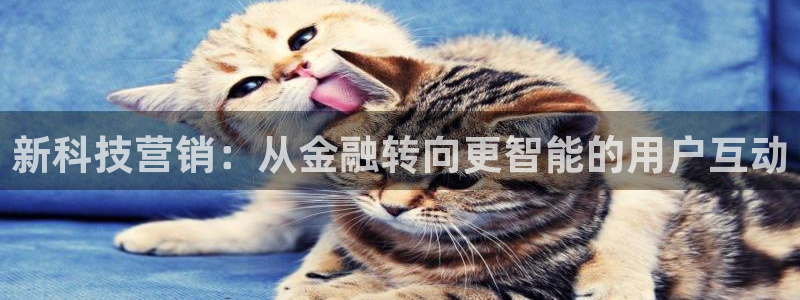 金年会体育是黑台子吗