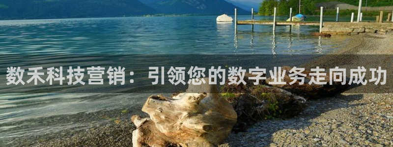 金年会官方app下载安卓