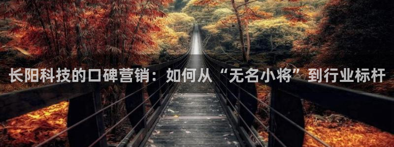 金年会官方下载入口手机版