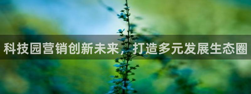 金年会金字招牌信誉至上是黑平台吗