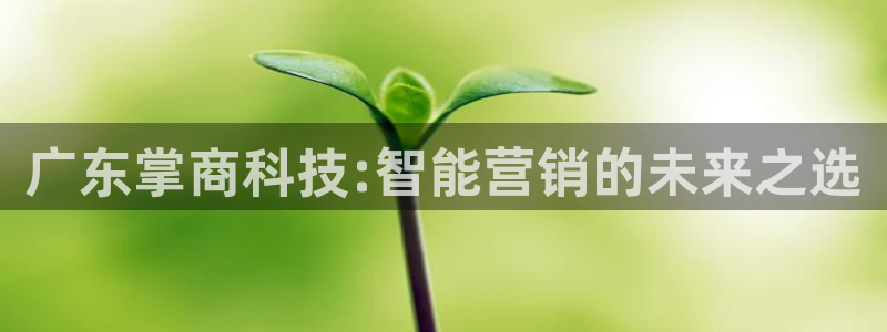 金年会官方入口登录