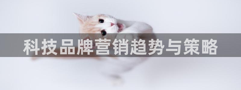 金年会网站不给出款怎么办