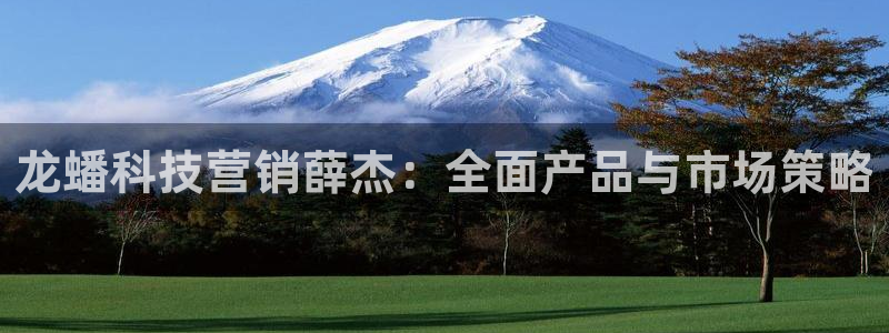 金年会网登录平台入口