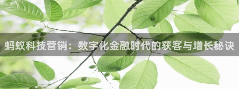 金年会体育在线登录