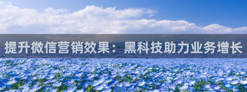 金年会体育注册地