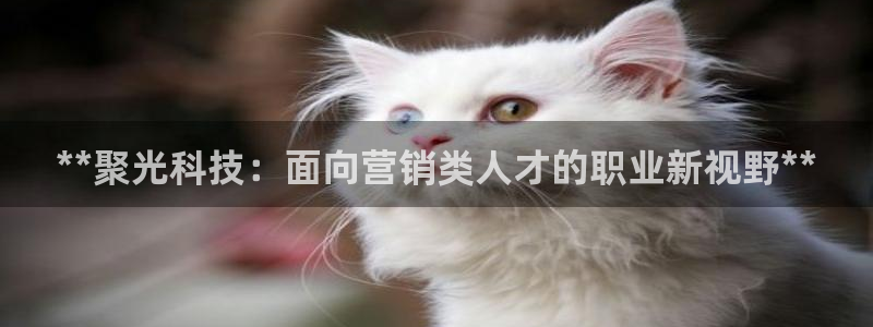 金年会VIP网页版在线登录入口