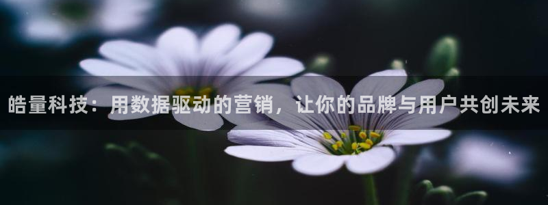 金年会app官网登录