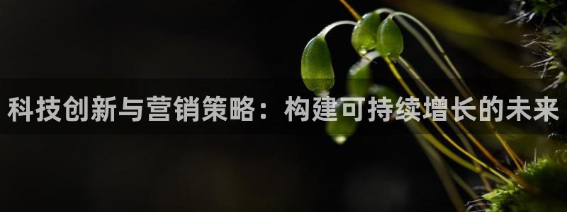 金年会电子游戏—2023全球木材与木制品大会