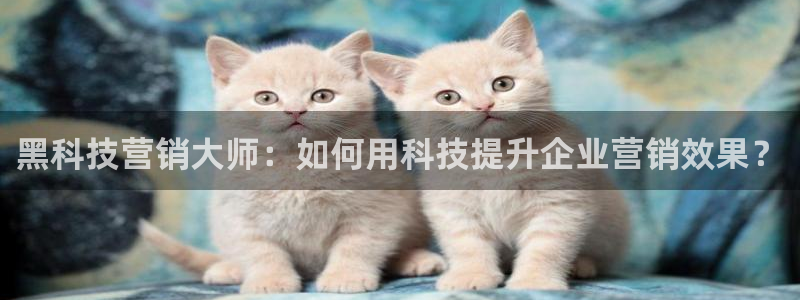 金年会平台真他妈坑人