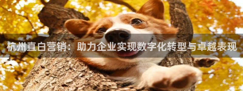 金年会官方网站入口v1.5.7