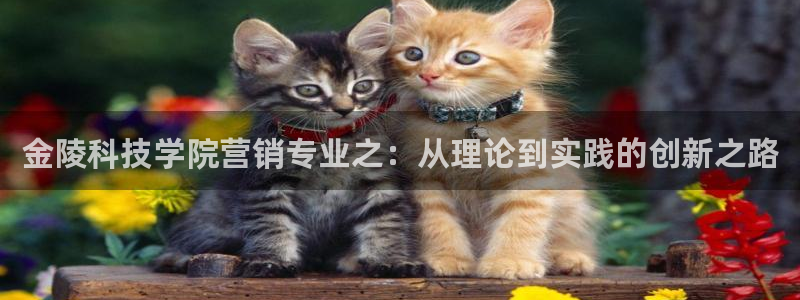 金年会下载地址
