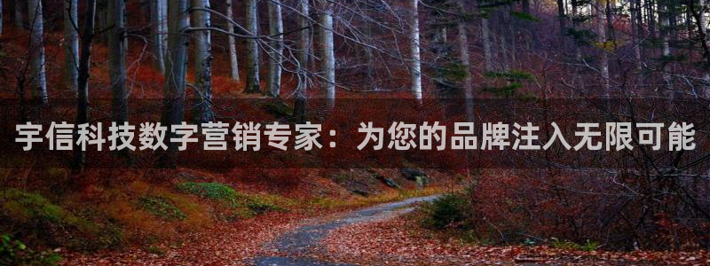 金年会能赢吗