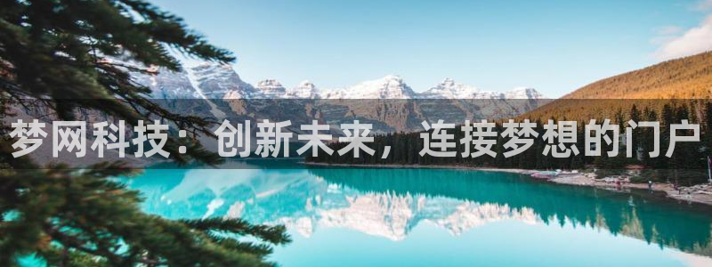 金年会体育app官网下载