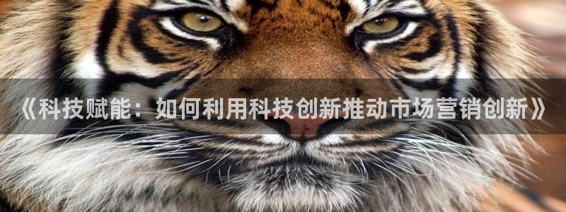 金年会网赌靠普吗