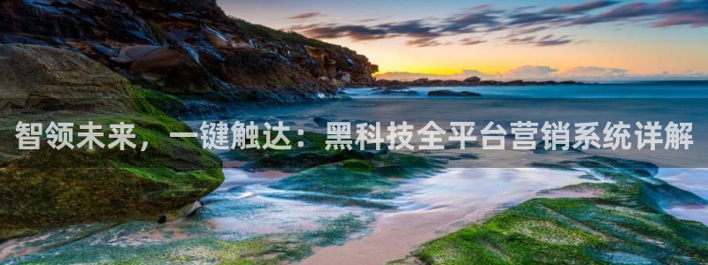 金年会体育中心