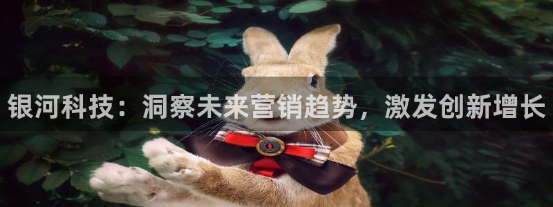 金年会平台怎么样