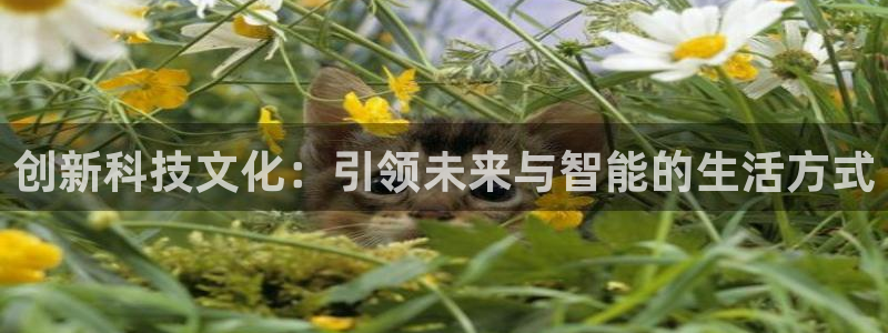金年会app官网下载