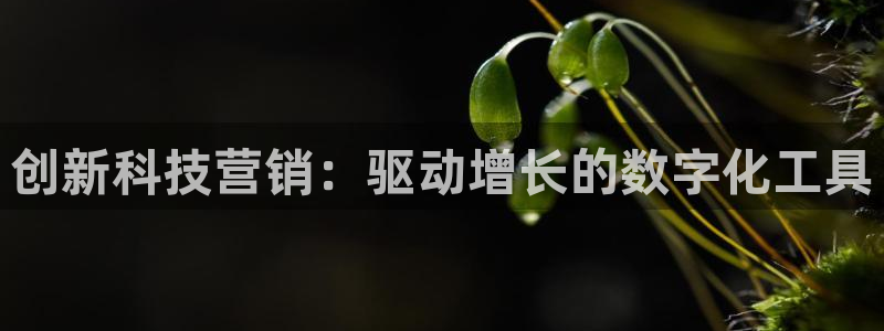 金年会下载地址