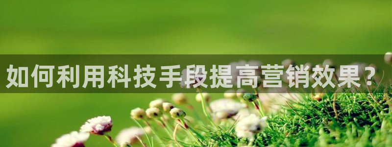 金年会体育是合法的吗