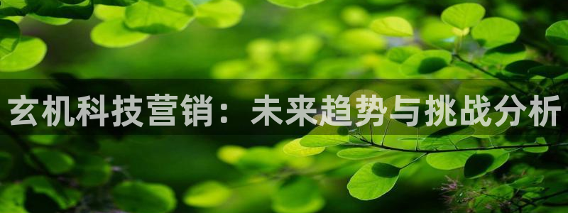 金年会金字招牌诚信