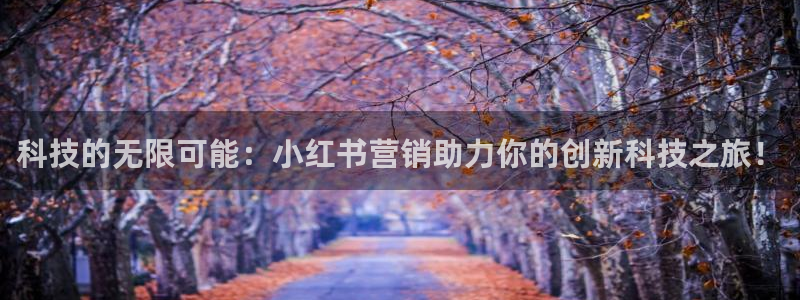 金年会今年会官方在线登录