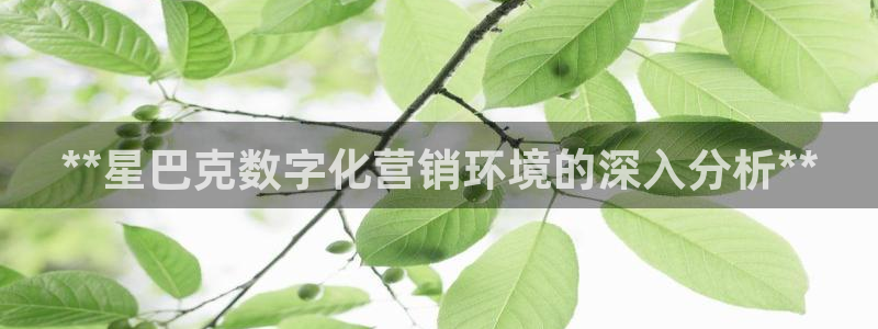 金年会官方登录网址