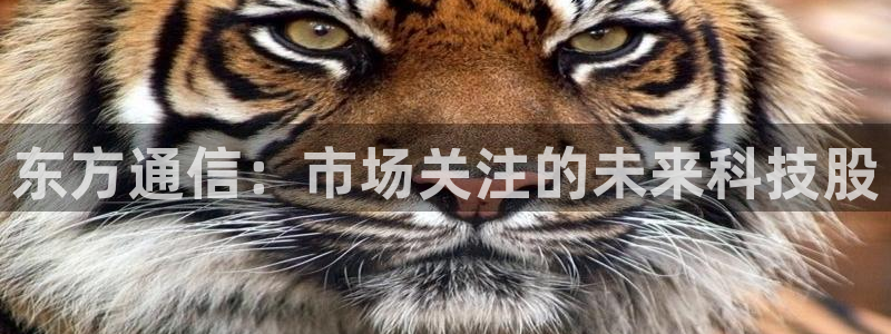 金年会体育官网登录入口