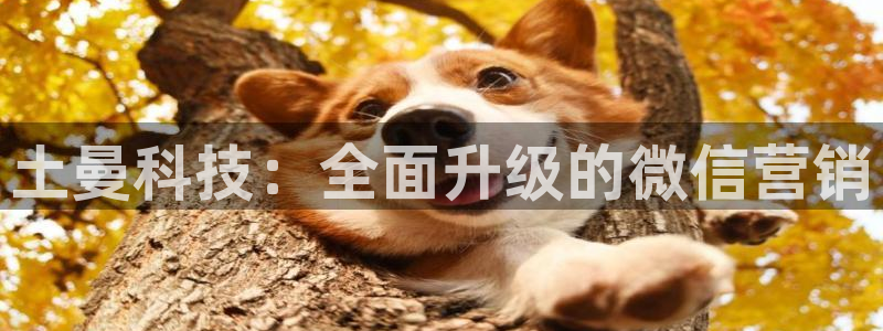 金年会手机版登录