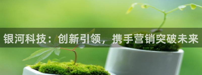 金年会官方登录