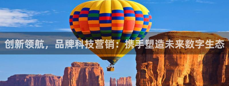 金年会官方入口APP