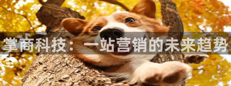 金年会是什么平台