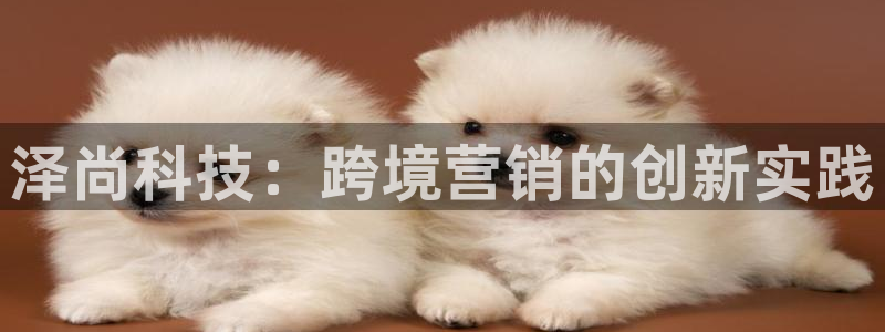 金年会金字招牌是什么意思