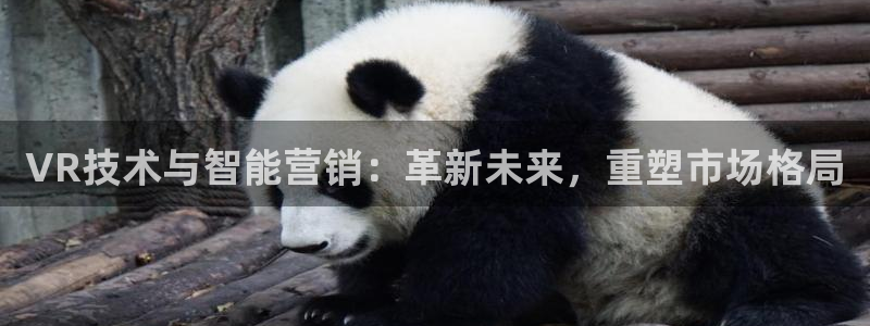 金年会赌博是诈骗吗