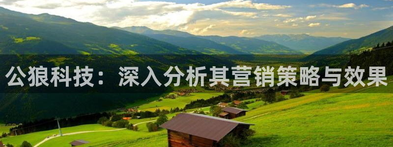 金年会体育app下载官网苹果版