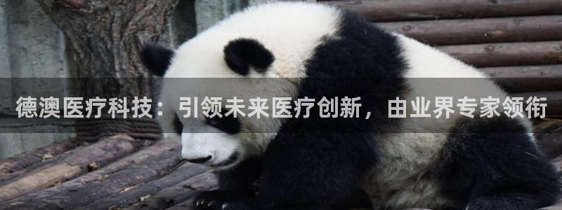 金年会体育网app下载