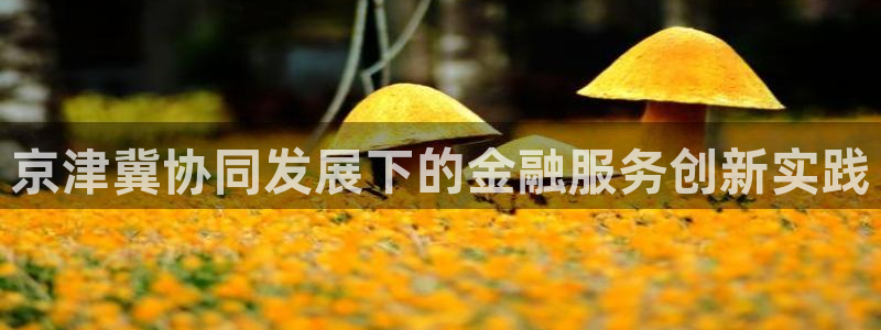 金年会金字照片诚信至上