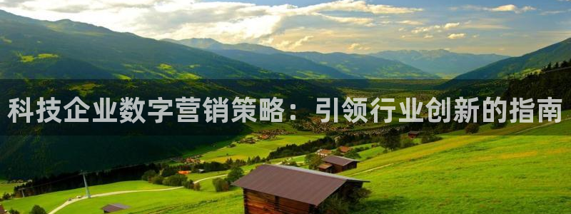 金年会体育app下载官网